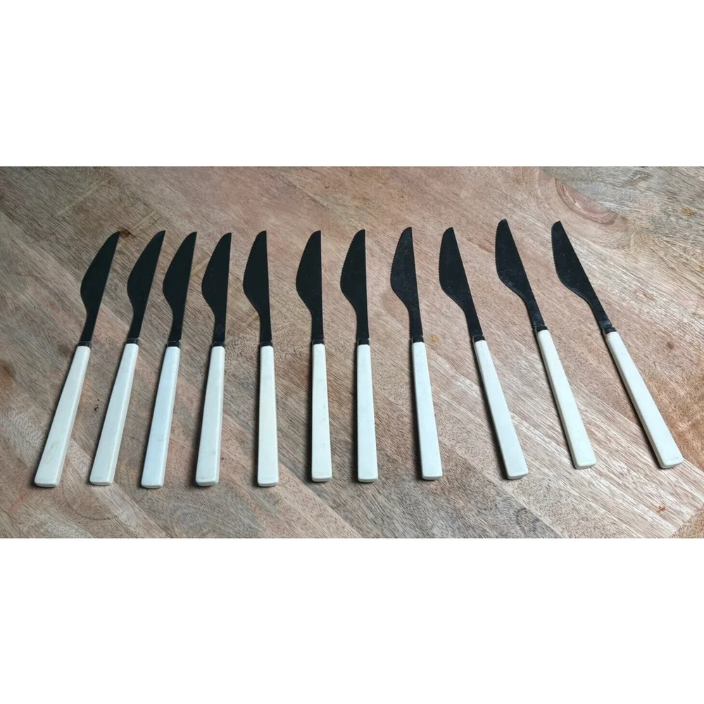 Vintage Set Of 11 Anacapa Stainless Cubed Plastic Handle APF DINNER KNIFE